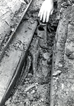 403346 Afbeelding van de opgraving van een skelet op het Vredenburg te Utrecht.